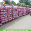 Hot Sale Chinese Fresh Garlic 5.0cm